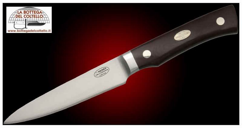 Fallkniven Sierra Coltello utility cm 11,5