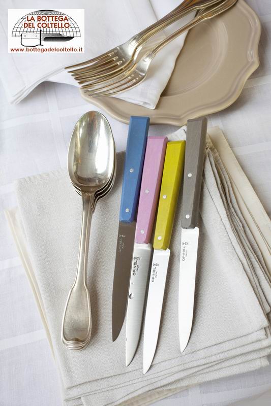 Esprit Campagne 4 Coltelli da tavola 125 