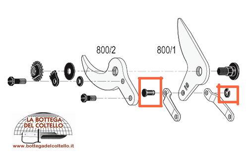 Asse di biella e circlips per Felcotronic 800