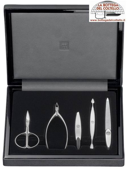 Twin� 97291-024-0 5-pieces manicure case