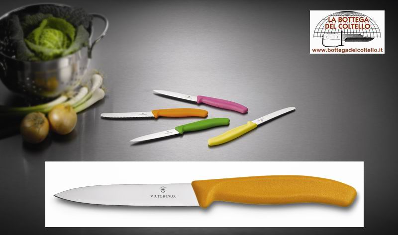 Victorinox Orange paring knife cm 10