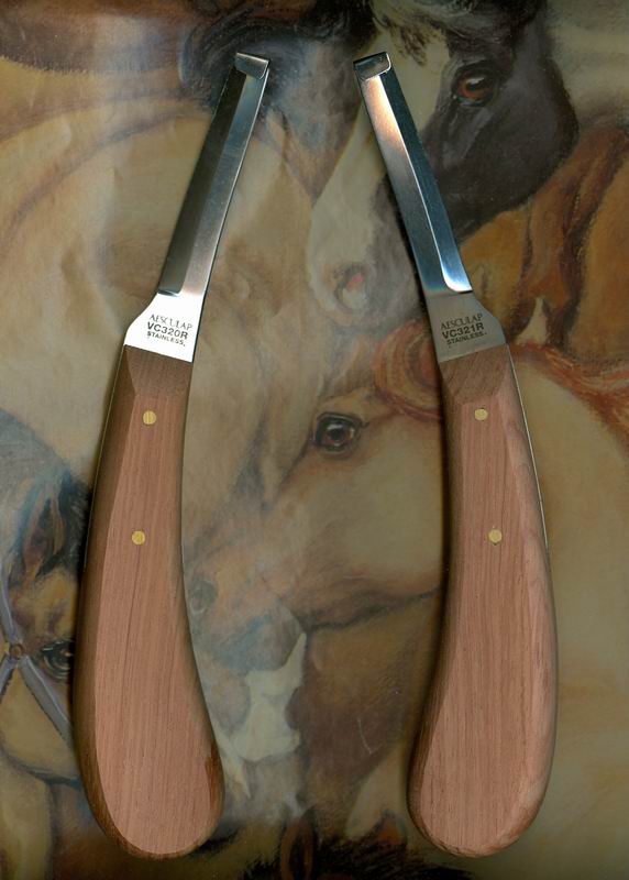 Hoof knife, small right cutting edge
