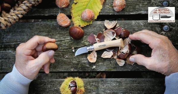 Chestnuts folding knife Opinel 7