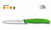 Spelucchino verde Swiss Classic Victorinox